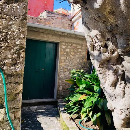 La Finestra Sul Campanile, *